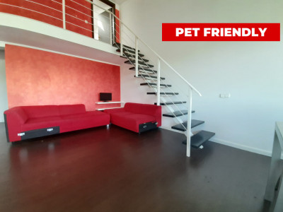 PET FRIENDLY  | Apartament 3 Camere | Calea Turzii