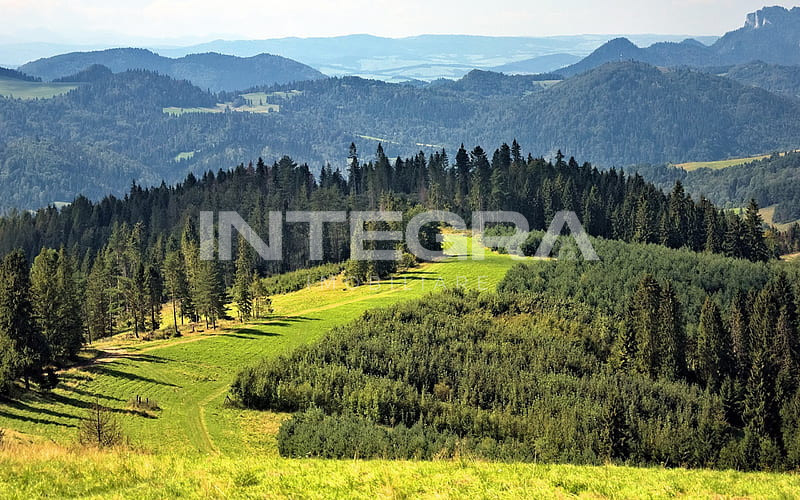 Marisel | Teren Intravilan 1000 Mp  | PUZ si Certificat Urbanism 